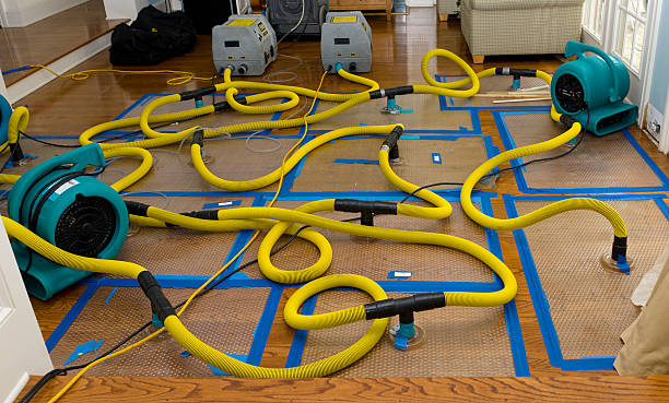 Professional Water Damage Restoration technician working in Salome, AZ